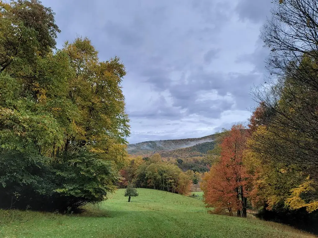 0 Old slash Rd, Troutdale, VA 24378 - #1