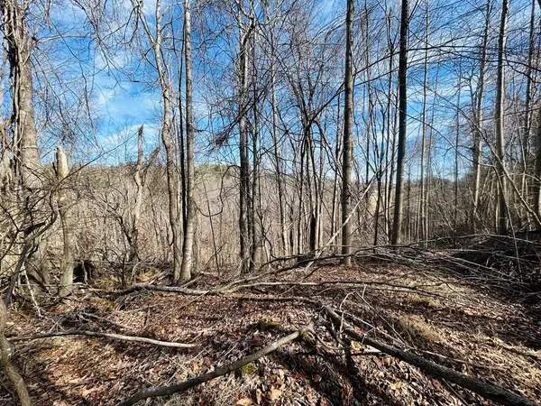 TBD Valley Hill Dr/Meadow Creek Rd, Galax, VA 24333