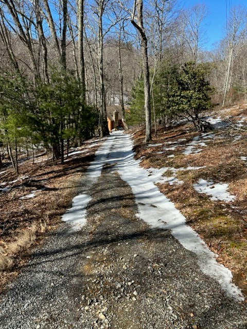 495 Rocky Top Ln., Independence, VA 24348 - #2