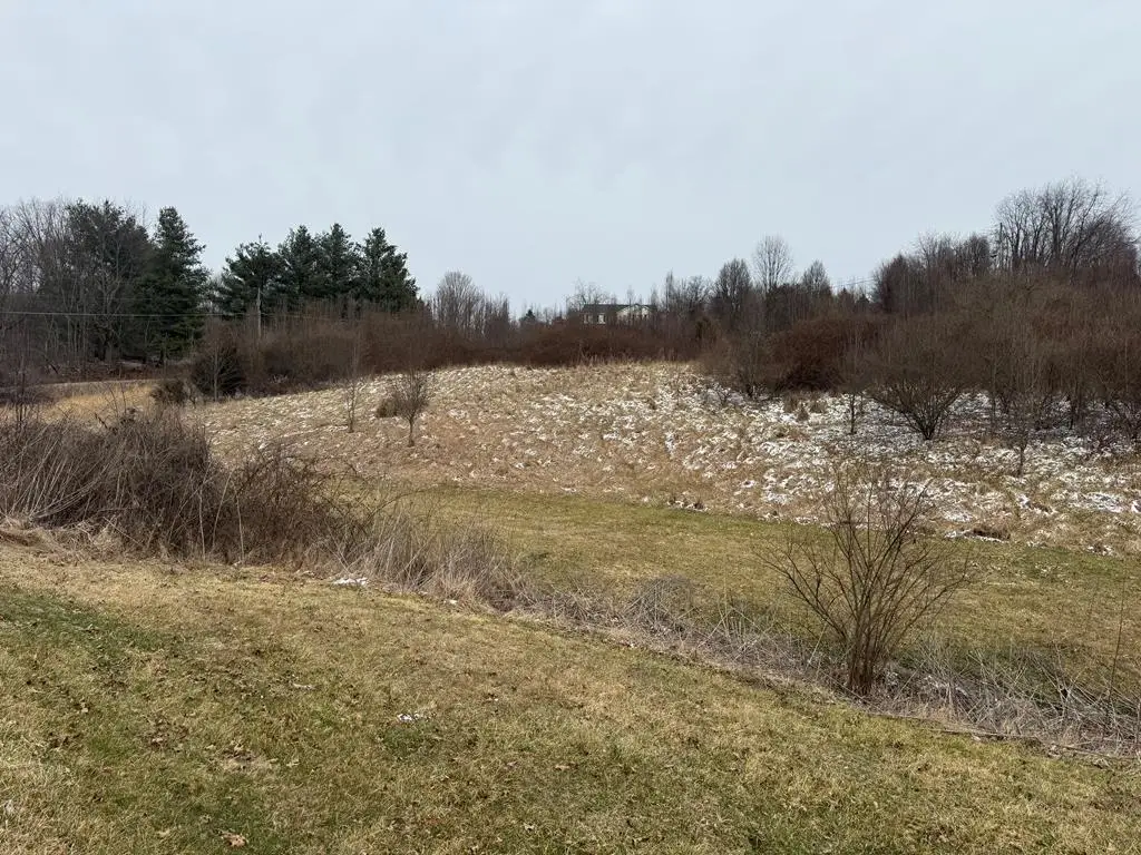 TBD Vintage View Road, Abingdon, VA 24210 - #1