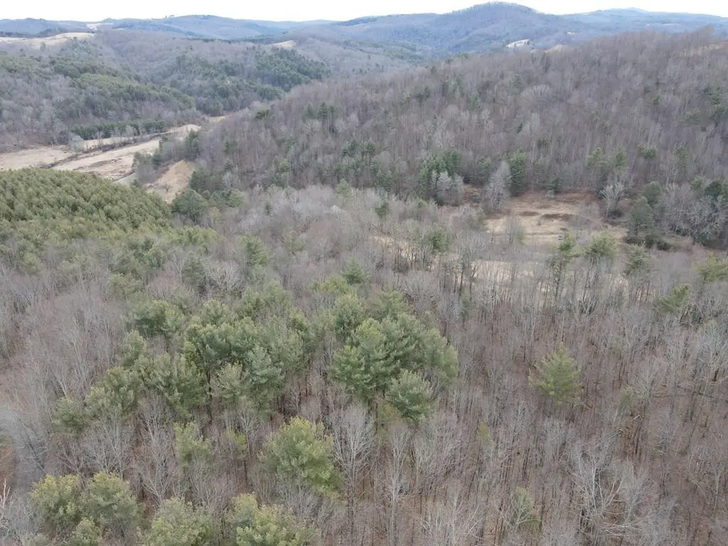 TBD Vista Ridge, Woodlawn, VA 24381 - #1