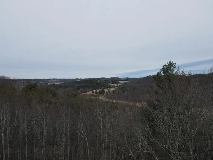 TBD Vista Ridge, Woodlawn, VA 24381 - #2