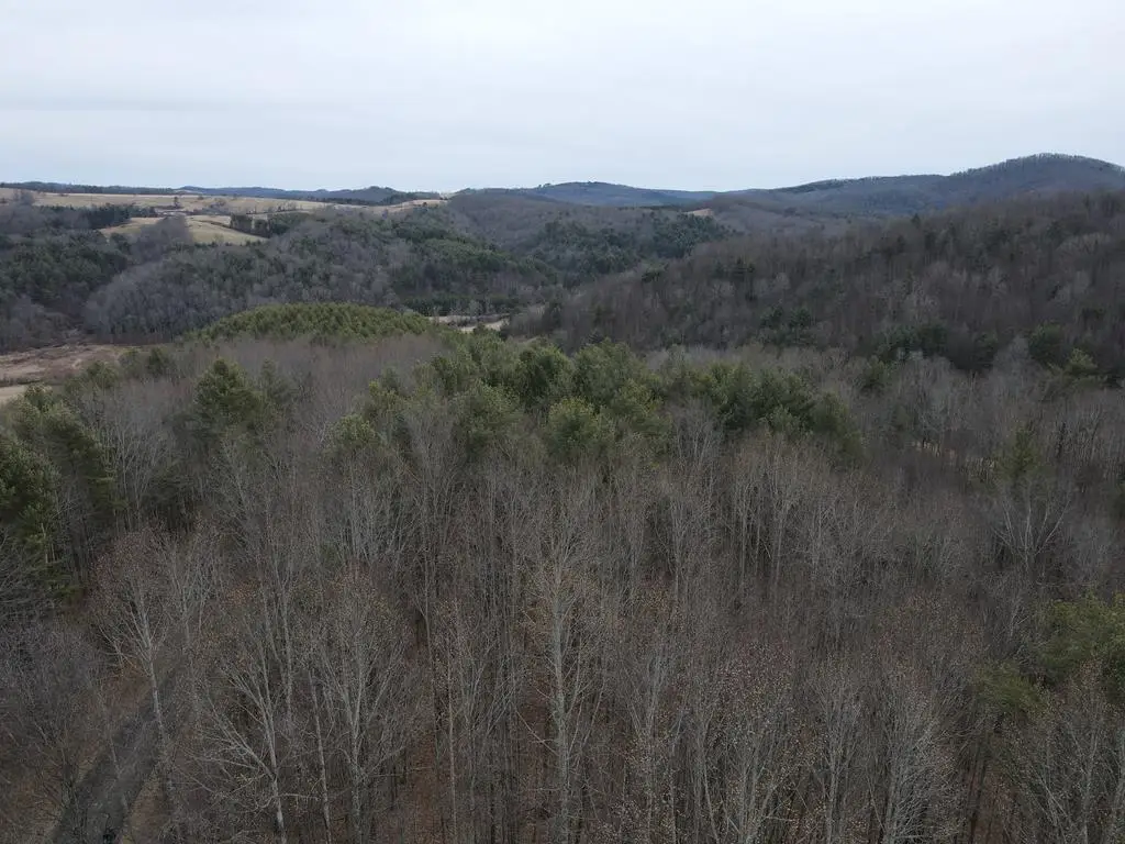 Lot 14 Vista Ridge Dr, Woodlawn, VA 24381 - #1