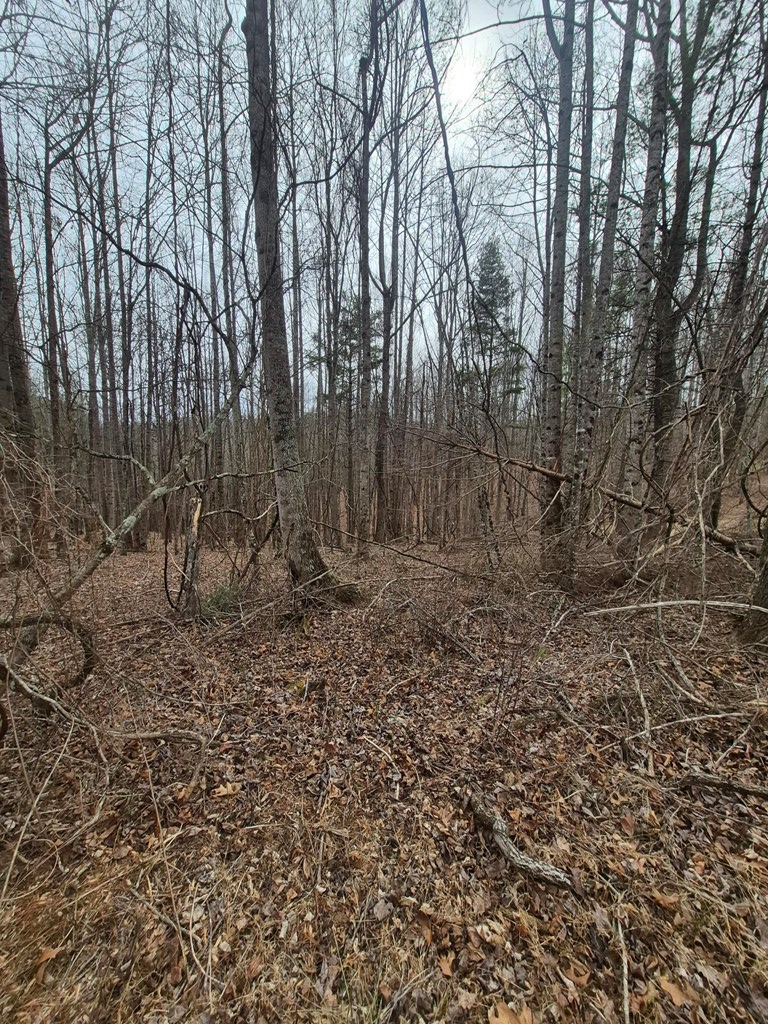 Lot 14 Vista Ridge Dr, Woodlawn, VA 24381 - #3