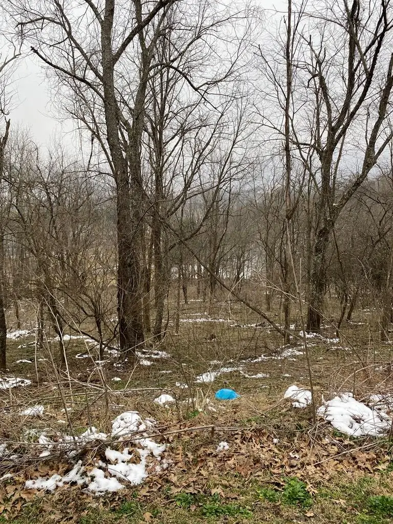 TBD Ridgecrest Drive, North Tazewell, VA 24630 - #2