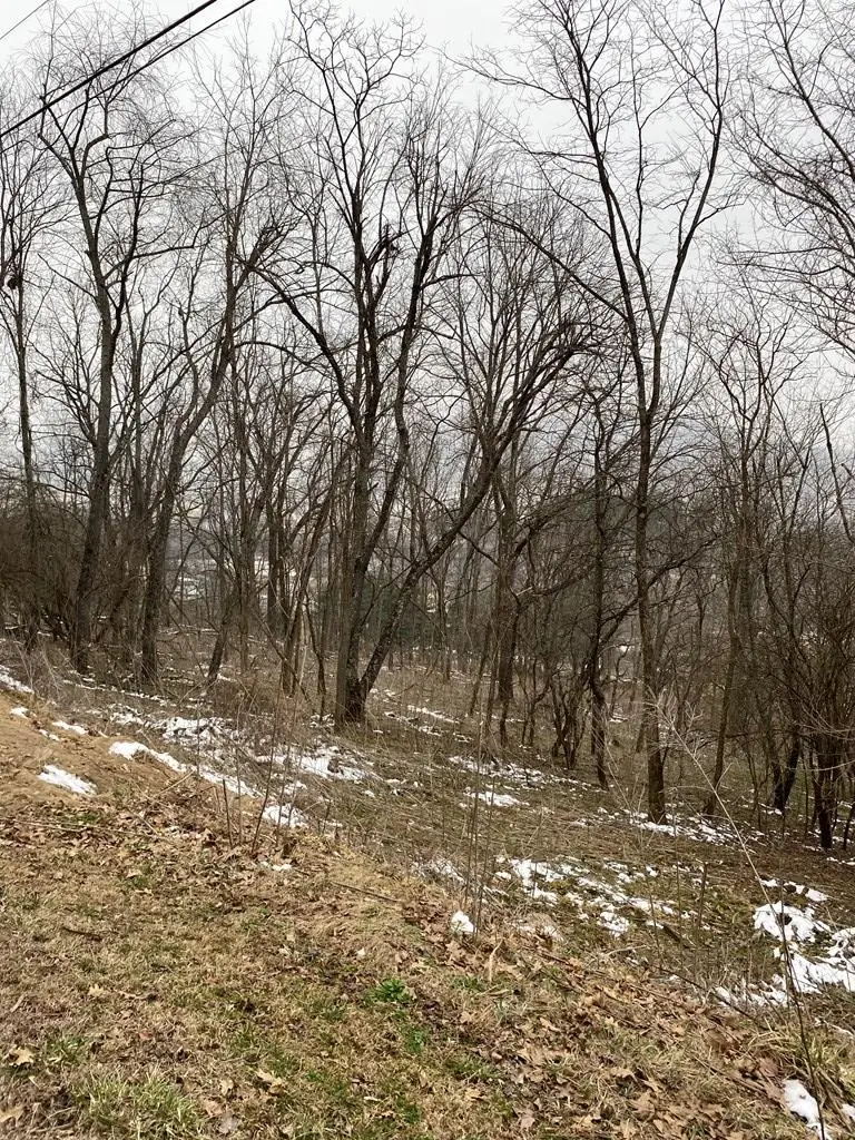 TBD Ridgecrest Drive, North Tazewell, VA 24630 - #3