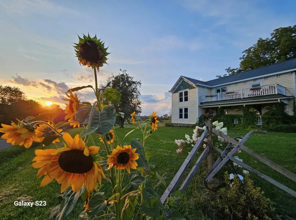 7561 Snake Creek Rd, Hillsville, VA 24343 - #1