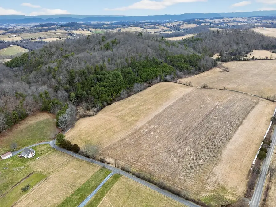 47.17 AC Widener Valley Rd, Glade Spring, VA 24340 - #3