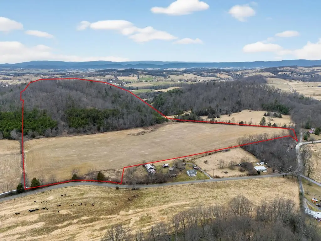 75.01 AC Widener Valley Rd, Glade Spring, VA 24340 - #1