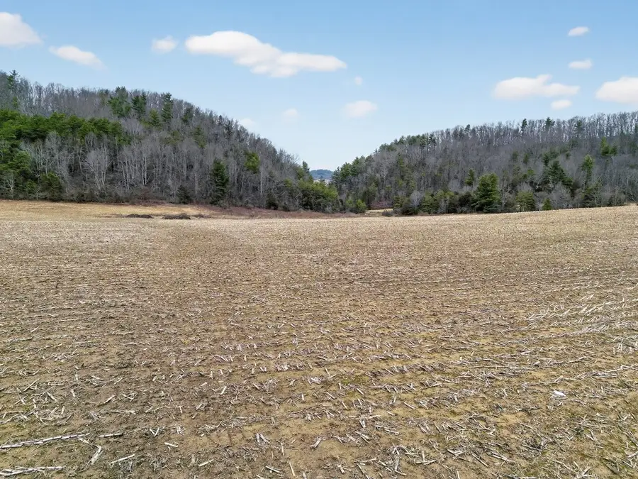 75.01 AC Widener Valley Rd, Glade Spring, VA 24340 - #3