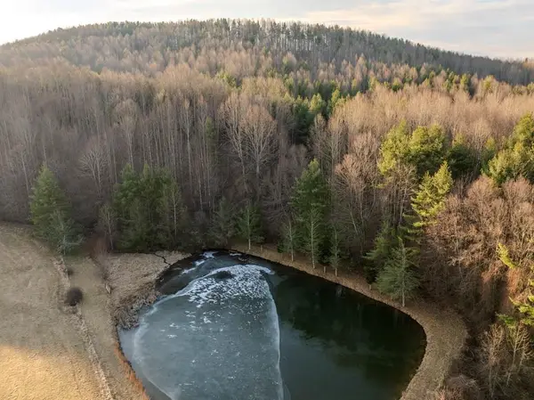 TBD Breezy Ridge Rd, Woodlawn, VA 24381