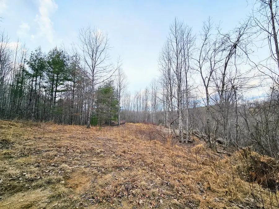 TBD Primrose Ln, Troutdale, VA 24378 - #3