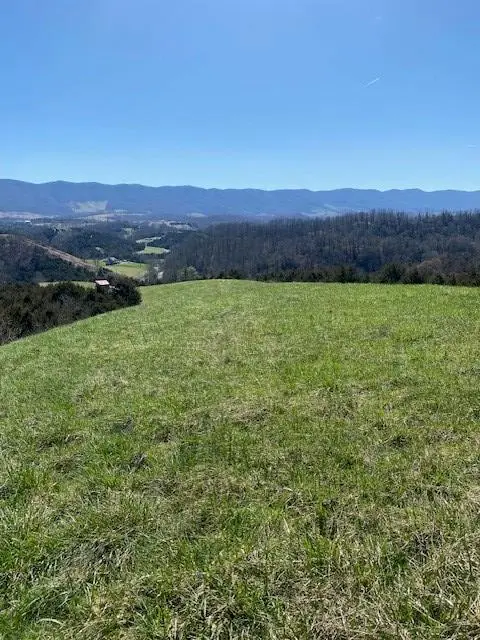 0 Rt 770, Cedar Bluff, VA 24609 - #1