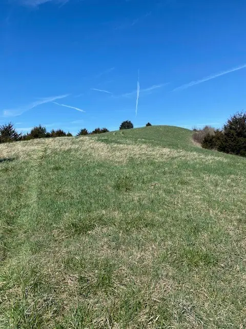 0 Rt 770, Cedar Bluff, VA 24609 - #2