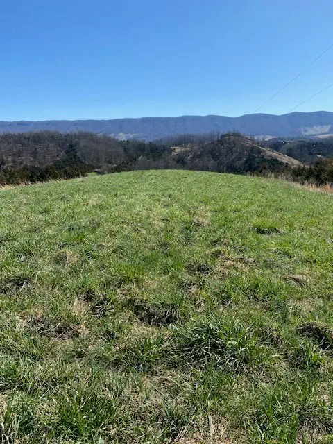 0 Rt 770, Cedar Bluff, VA 24609 - #3