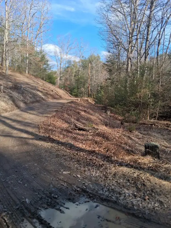 TBD Gullion Fork Road, Wytheville, VA 24832