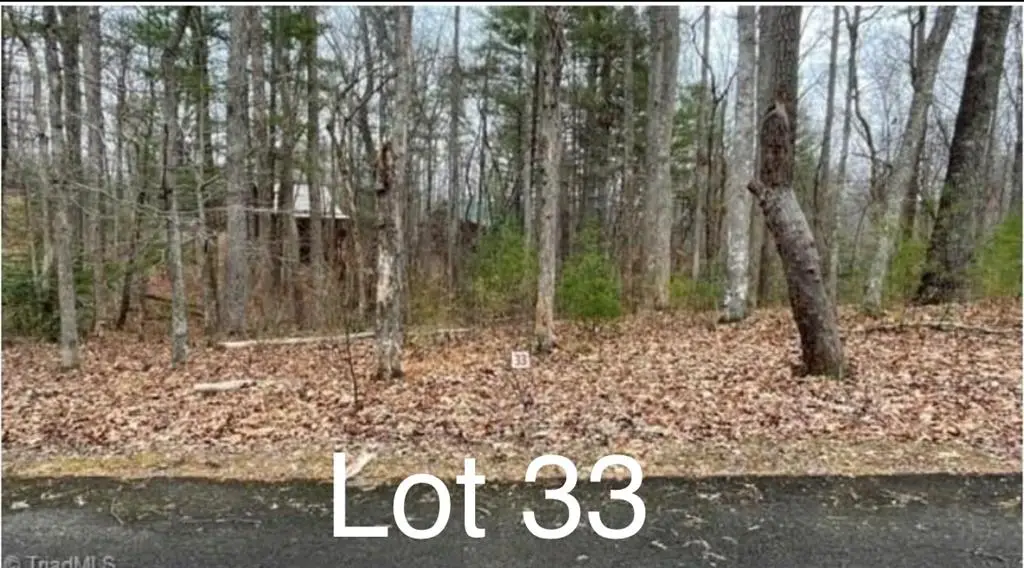 Lot 33 Woods Haven Lane, Stuart, VA 24171 - #1