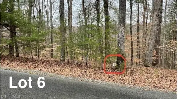 Lot 6 Woods Haven Lane, Stuart, VA 24171