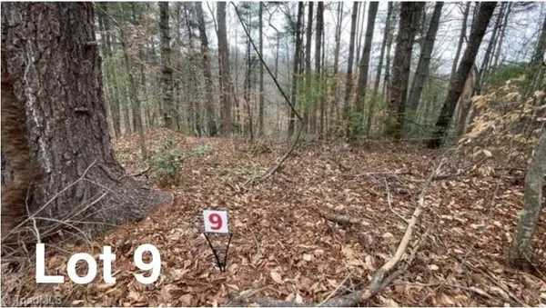 Lot 9 Woods Haven Lane, Stuart, VA 24171