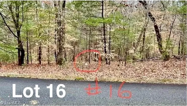 Lot 16 Woods Haven Lane, Stuart, VA 24171