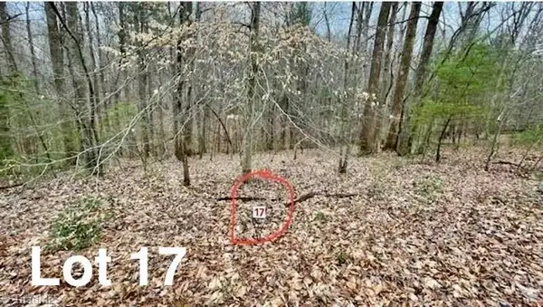 Lot 17 Woods Haven Lane, Stuart, VA 24171