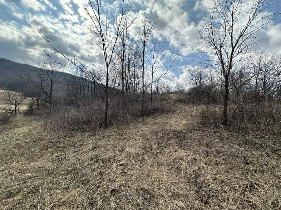 215 Squires Dr, Bastian, VA 24314 - #3