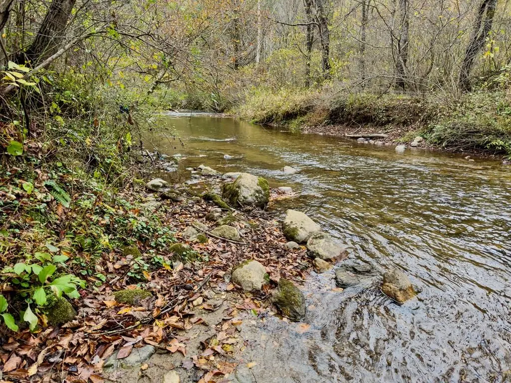 TBD Hoot Hollow Rd, Cana, VA 24317 - #1