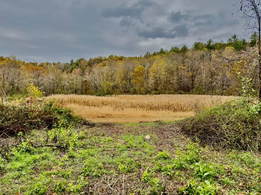 TBD Hoot Hollow Rd, Cana, VA 24317 - #3