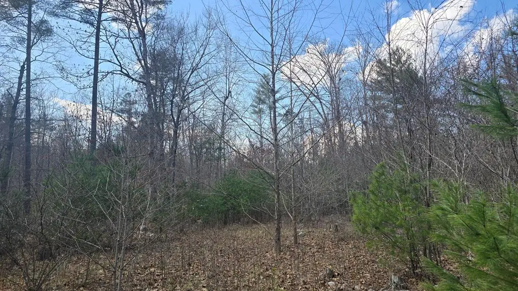 2280 Jennings Rd, Shawsville, VA 24162 - #1