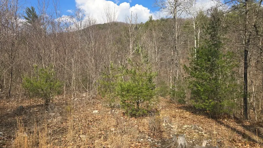2280 Jennings Rd, Shawsville, VA 24162 - #3