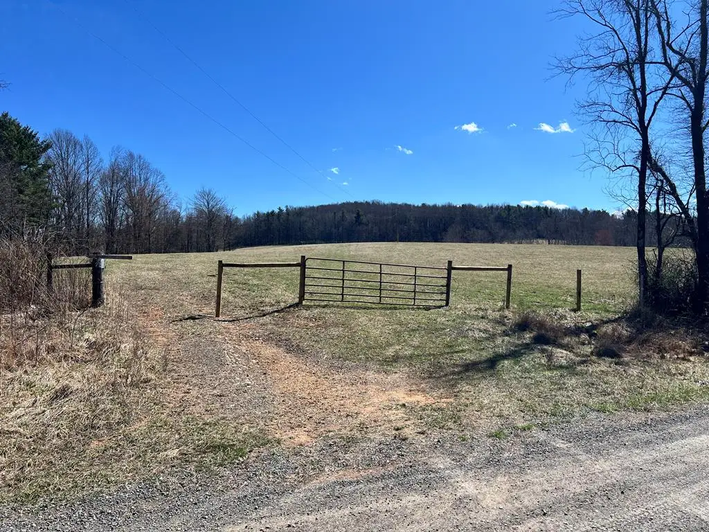 TBD Fireside Drive, Laurel Fork, VA 24352 - #1