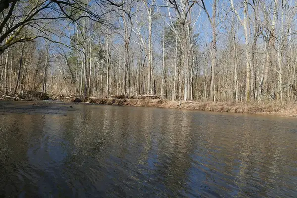 TBD Rush Creek Road, Glade Spring, VA 24340