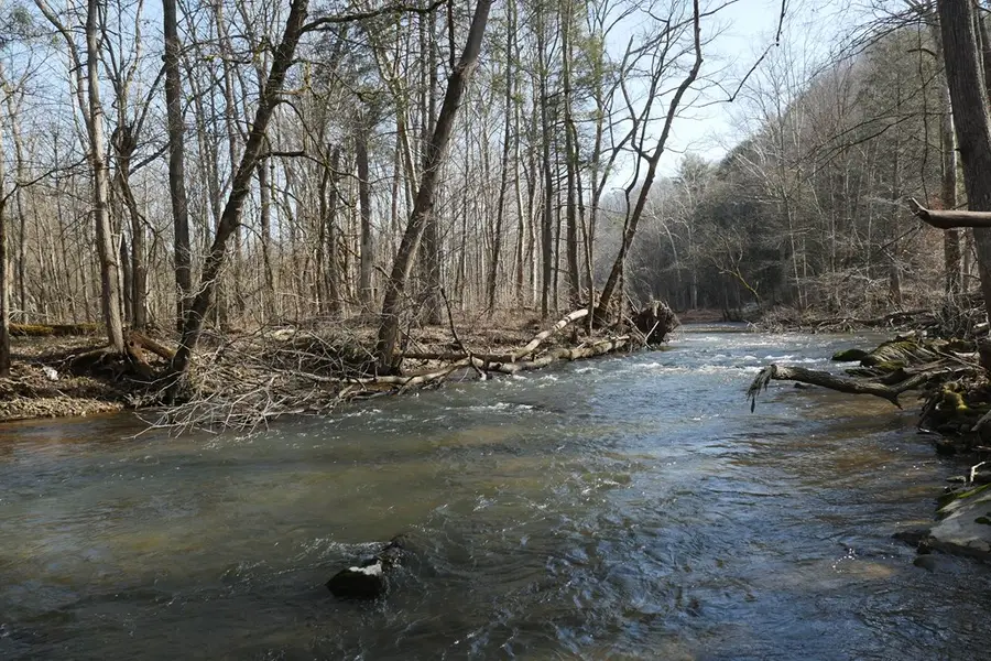 TBD Rush Creek Road, Glade Spring, VA 24340 - #2