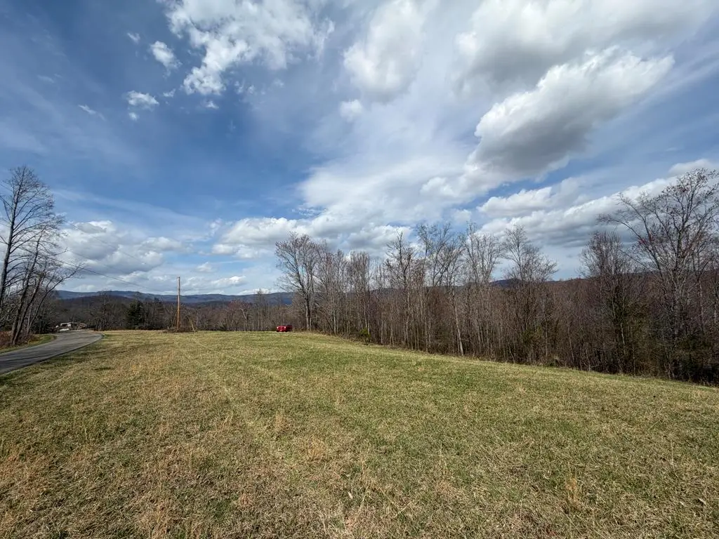 0 Sky View Drive, Ararat, VA 24053 - #1