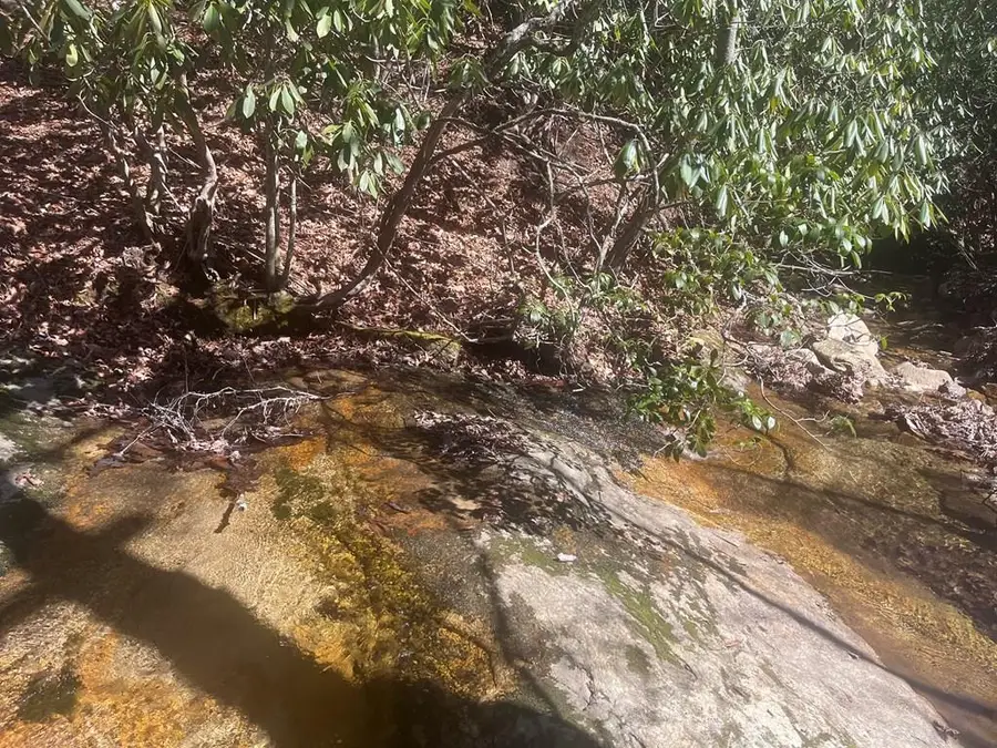 TBD Riverside Dr, Independence, VA 24348 - #2