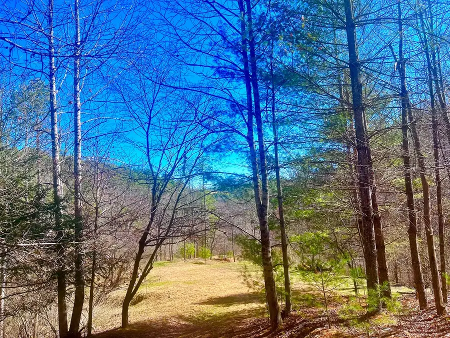 TBD Riverside Dr, Independence, VA 24348 - #3