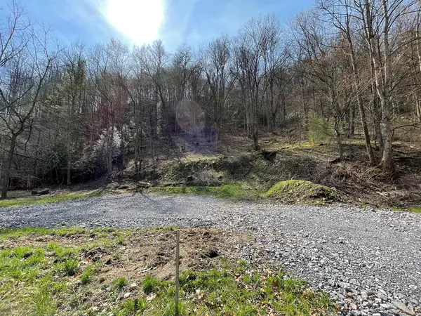 TBD Sawmill Hollow Rd., Dante, VA 24237