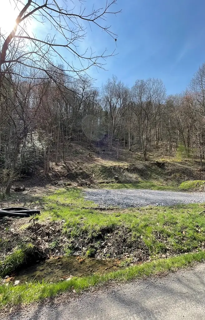 TBD Sawmill Hollow Rd., Dante, VA 24237 - #2