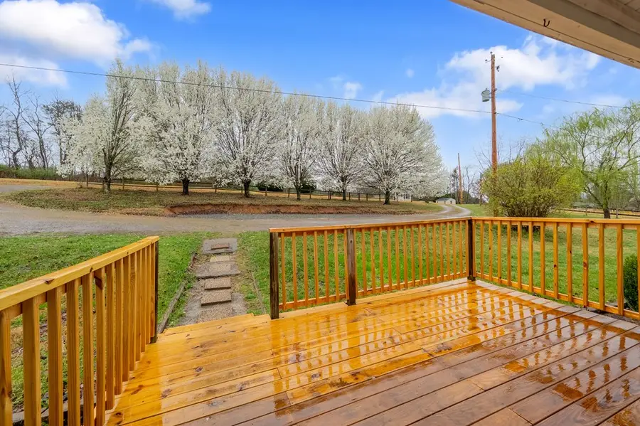 182 Lonesome Dove Ln, Max Meadows, VA 24360 - #3