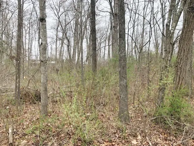 TBD Della Lane, Austinville, VA 24312 - #2