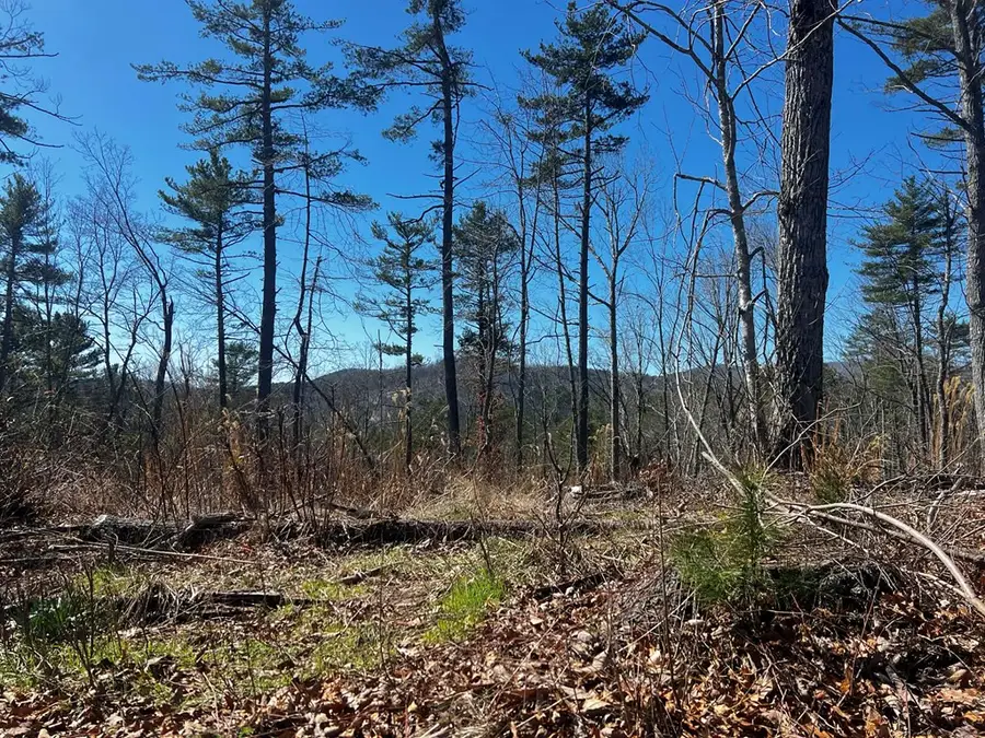 5167 Ivanhoe Rd., Fries, VA 24330 - #3