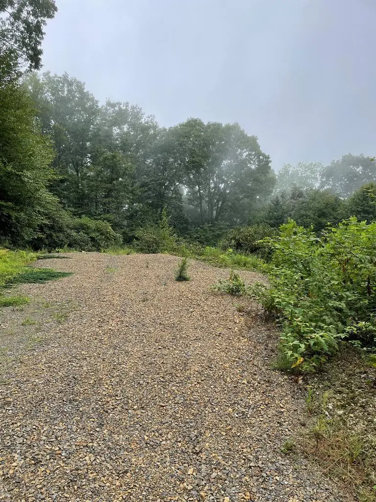 000 Buck Hollar Rd, Hillsville, VA 24343 - #3