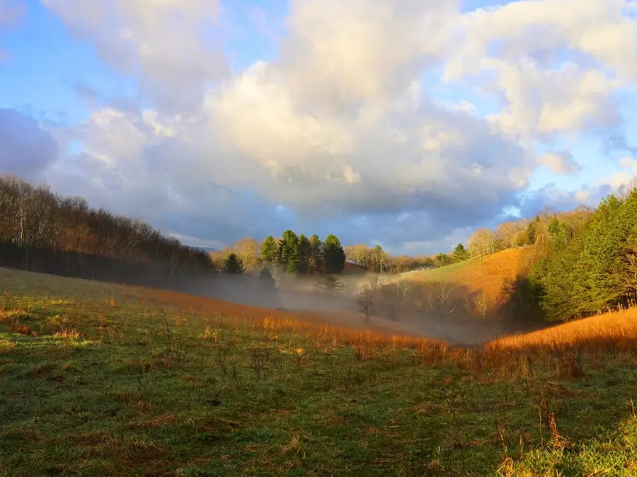 892 Ward Branch Rd, Rural Retreat, VA 24368 - #2