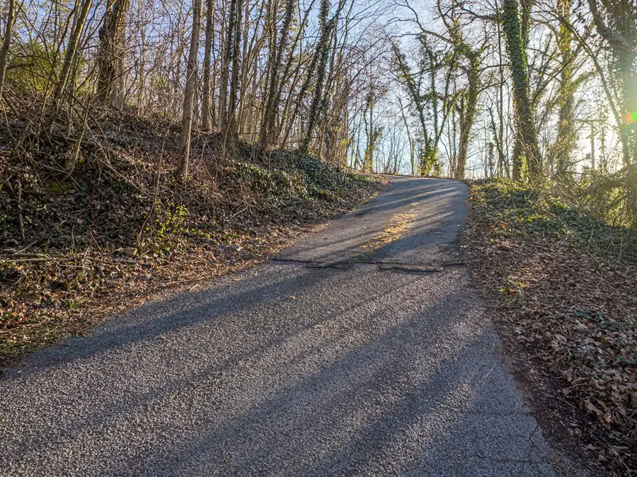 358 Gravely Rd, Kingsport, TN 37760 - #3