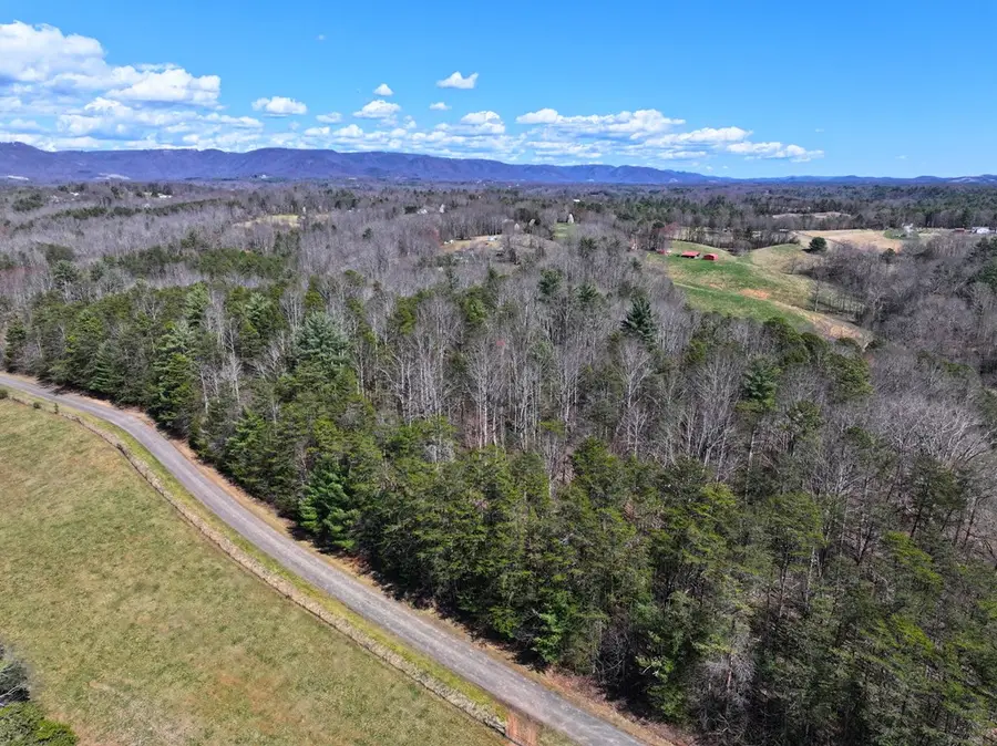 00 Flatridge Road, Cana, VA 24317 - #2
