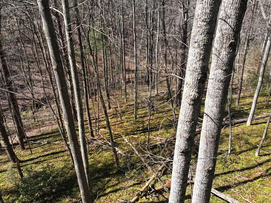 00 Flatridge Road, Cana, VA 24317 - #3