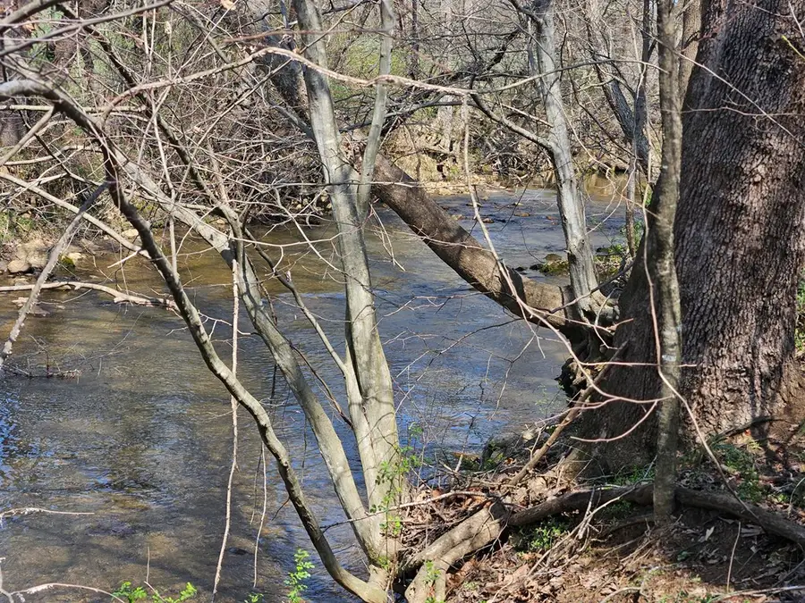 00 Willas Gap, Ararat, VA 24053 - #2