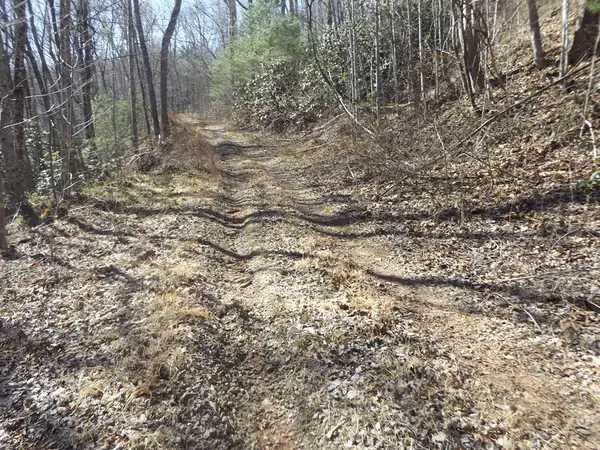 TBD Pole Bridge Rd., Stuart, VA 24171