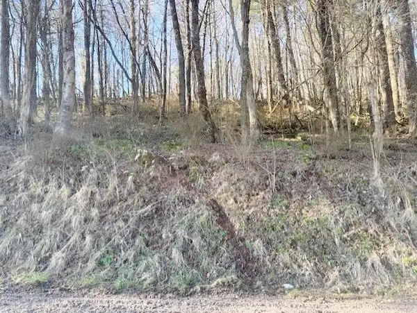 TBD Old King Rd., Rural Retreat, VA 24368