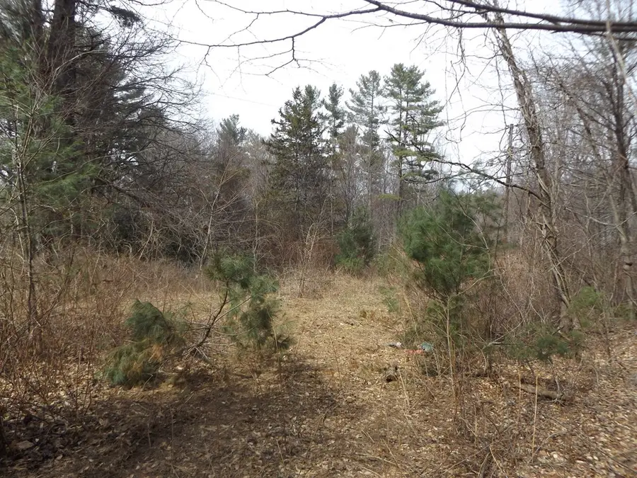 619 Shady Ln., Laurel Fork, VA 24352 - #2